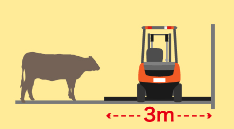 小・中規模の畜産農家様が使う厩舎でも、約3mの通路幅があれば給餌できる